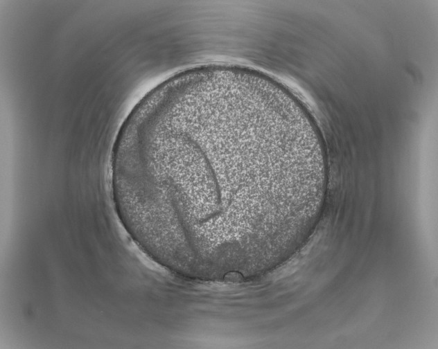 X0000111661287200908141306