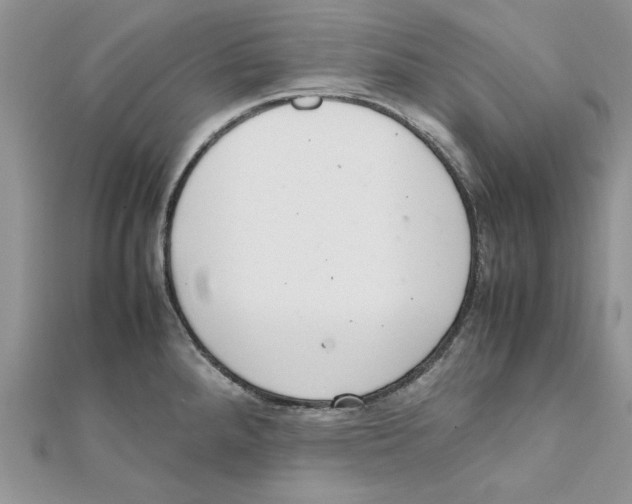 X0000111661288200908141306