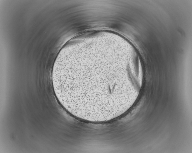 X0000111661289200908141306