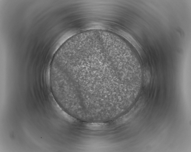 X0000111661290200908141306