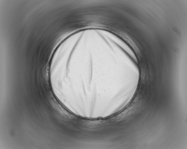 X0000111661292200908141305