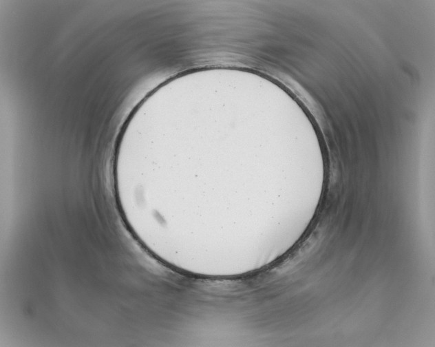 X0000111661293200908141305