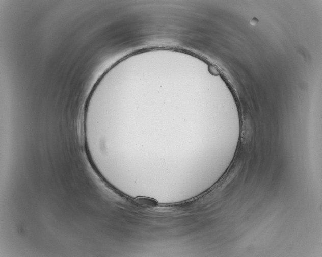 X0000111661295200908141305