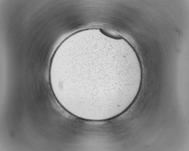 X0000111661296200908141305