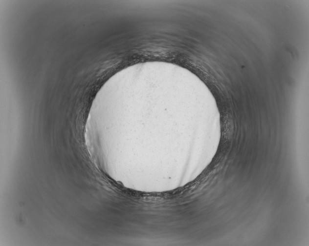 X0000111661297200908141305