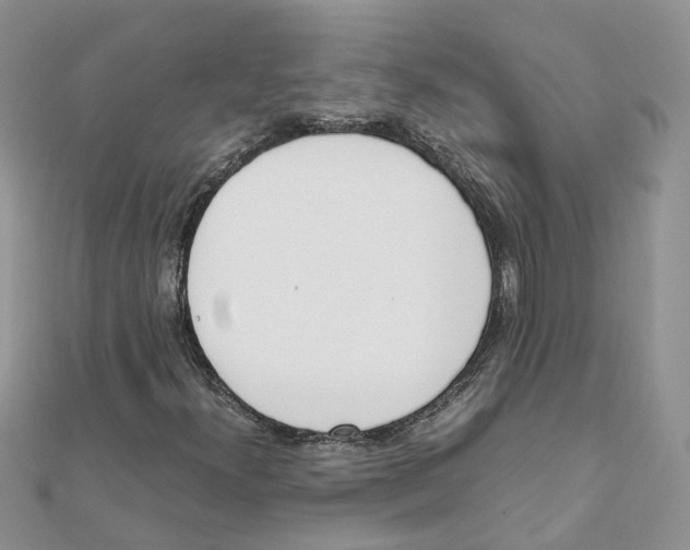 X0000111661300200908141305