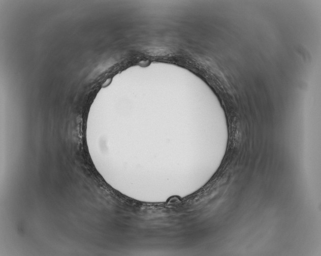 X0000111661301200908141305