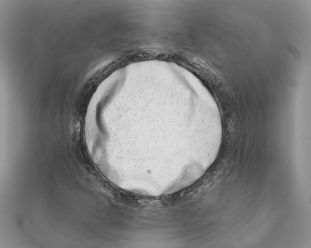 X0000111661302200908141305