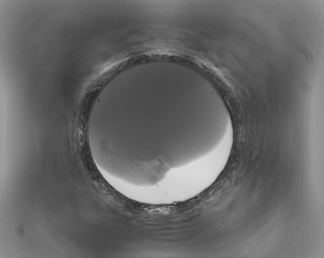 X0000111661303200908141305