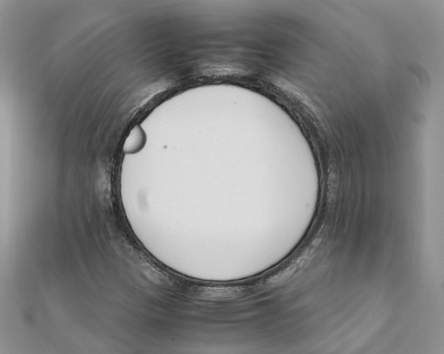 X0000111661305200908141305