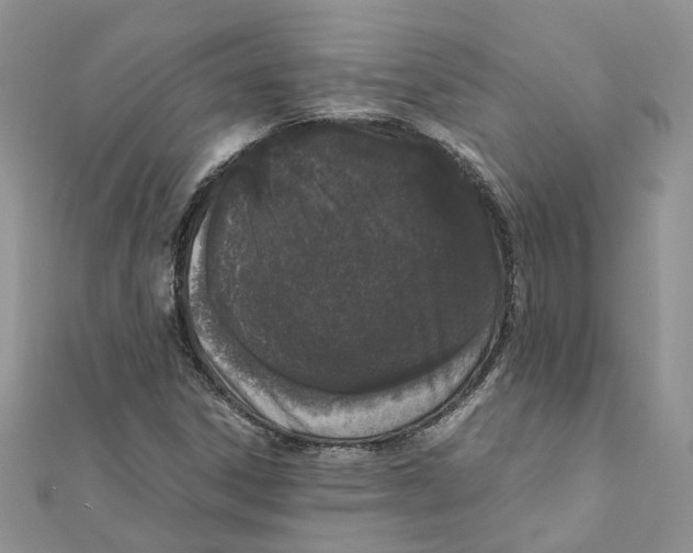 X0000111661306200908141305