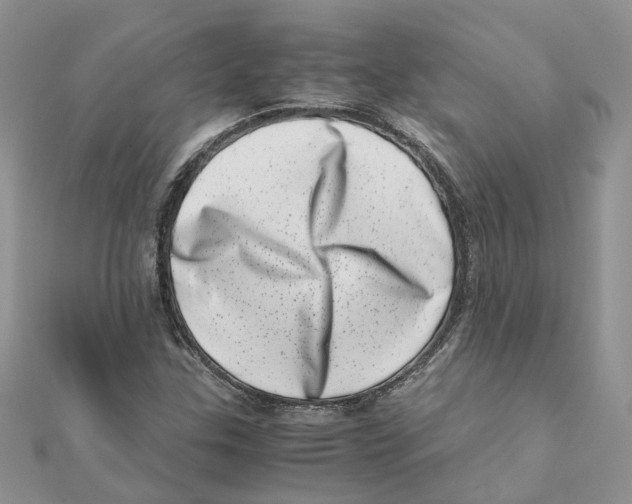 X0000111661307200908141305