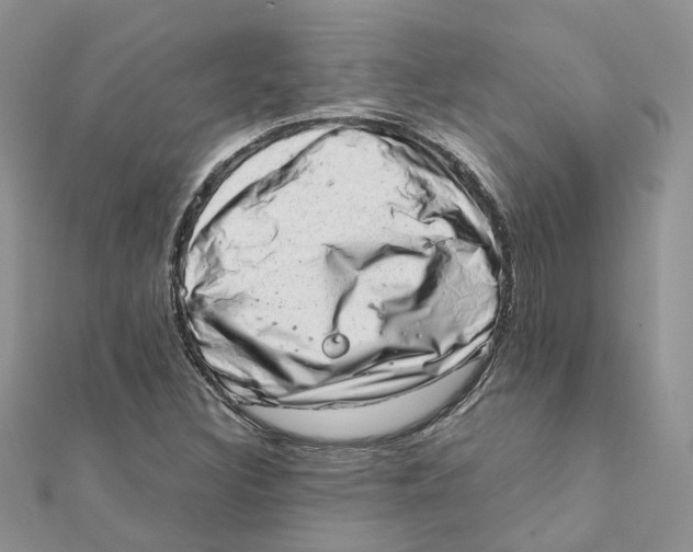 X0000111661308200908141305