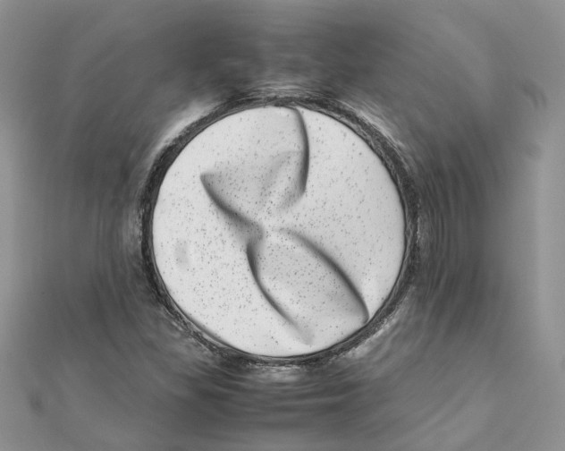 X0000111661309200908141305