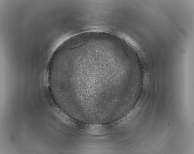 X0000111661310200908141305