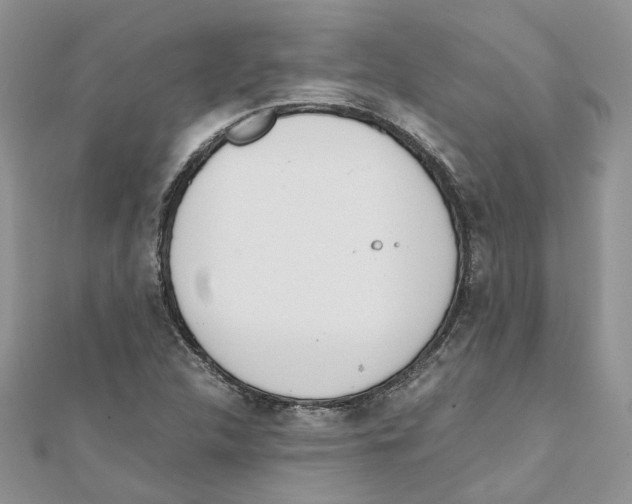 X0000111661312200908141305