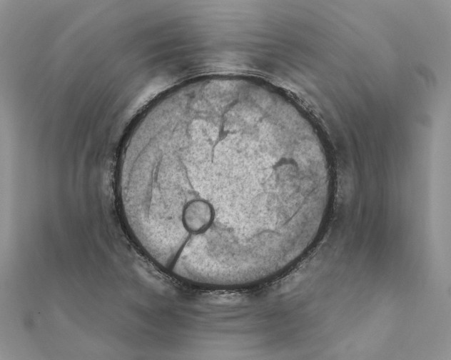 X0000111661314200908141305