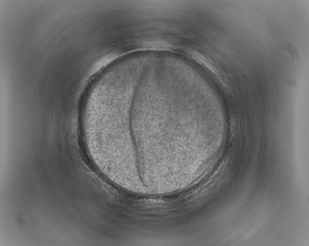 X0000111661315200908141305