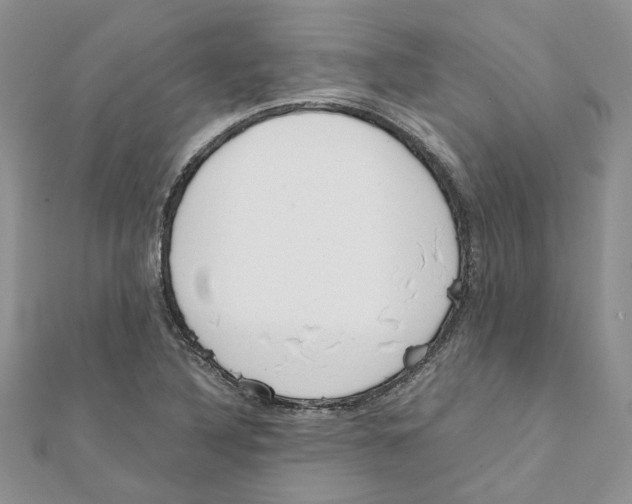 X0000111661316200908141305