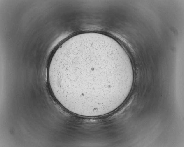 X0000111661317200908141305