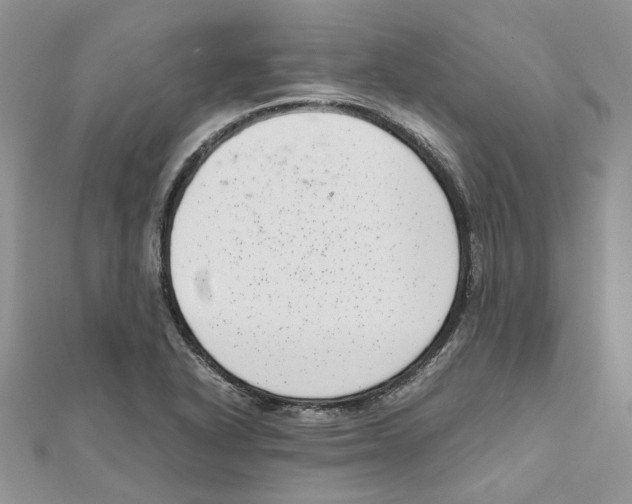 X0000111661318200908141305