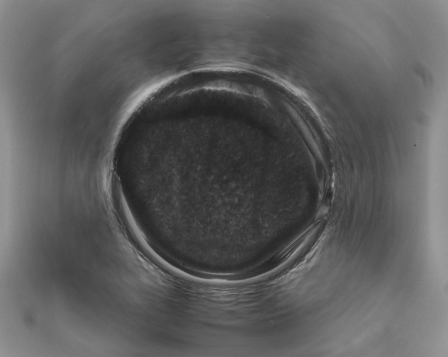 X0000111661319200908141305