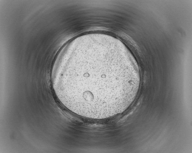 X0000111661321200908141305