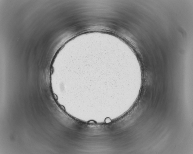 X0000111661322200908141305