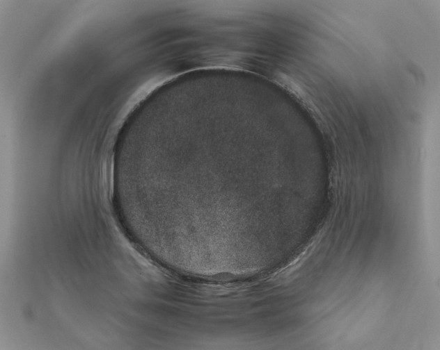 X0000111661323200908141305