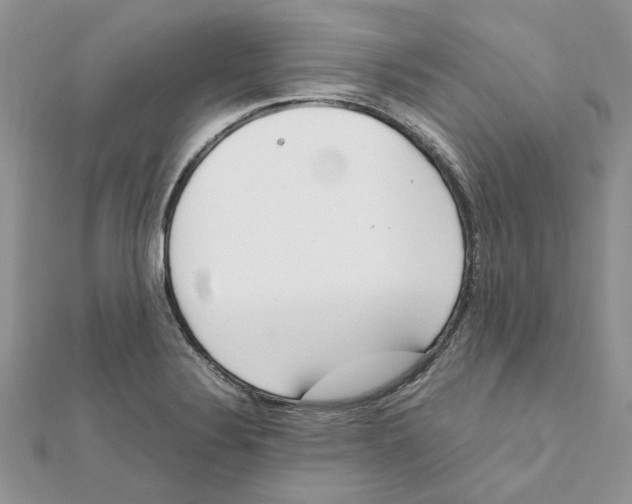 X0000111661324200908141305