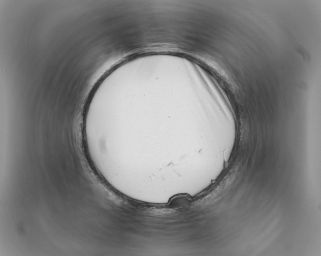 X0000111661325200908141305