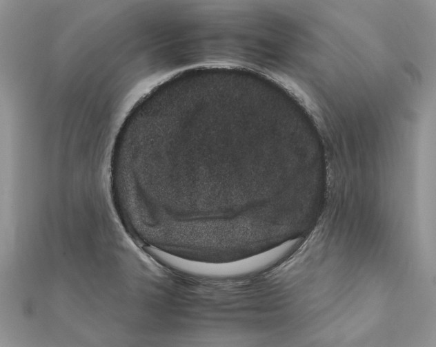 X0000111661327200908141305