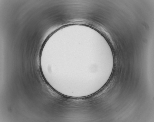 X0000111661328200908141305