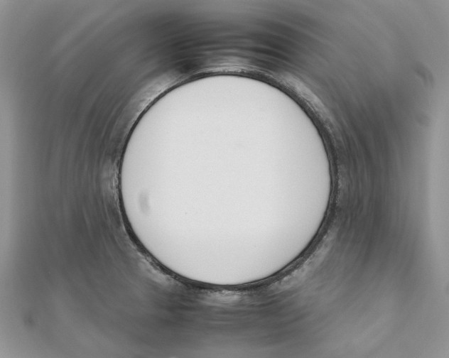 X0000111661329200908141305