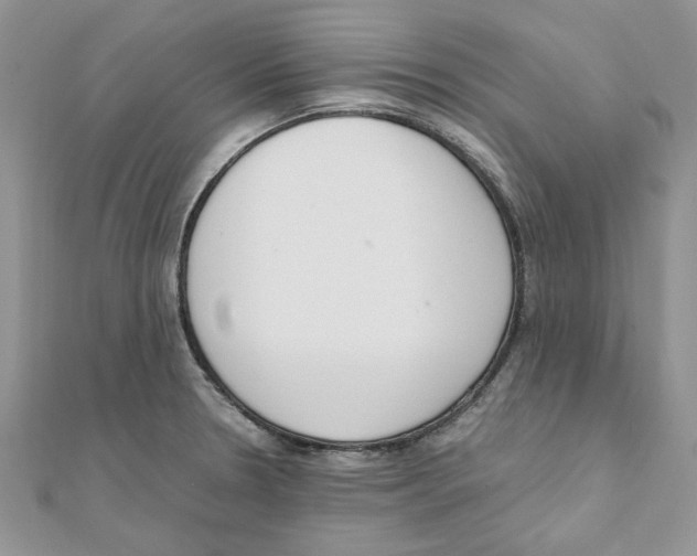 X0000111661330200908141305