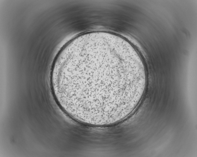 X0000111661333200908141305