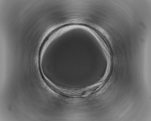 X0000111661334200908141305