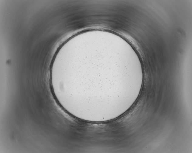 X0000111661335200908141305