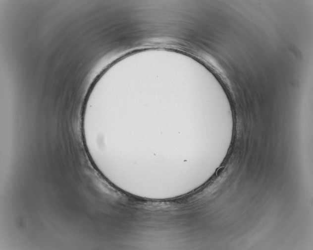 X0000111661336200908141305