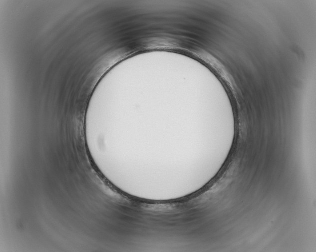 X0000111661337200908141305