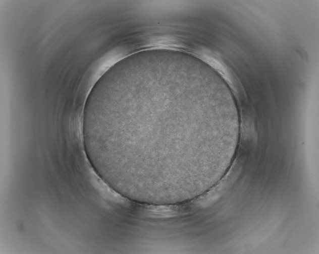 X0000111661338200908141305