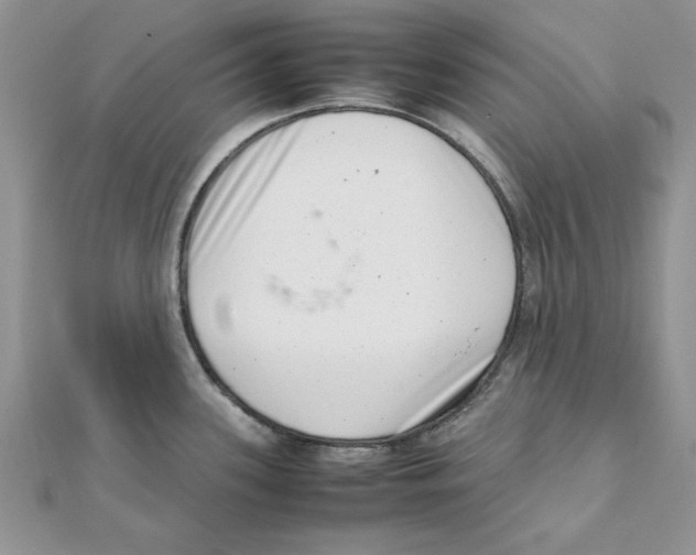 X0000111661339200908141305