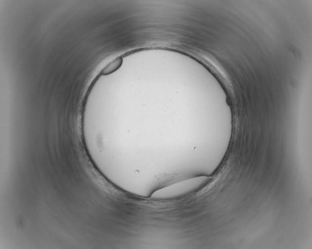 X0000111661340200908141305