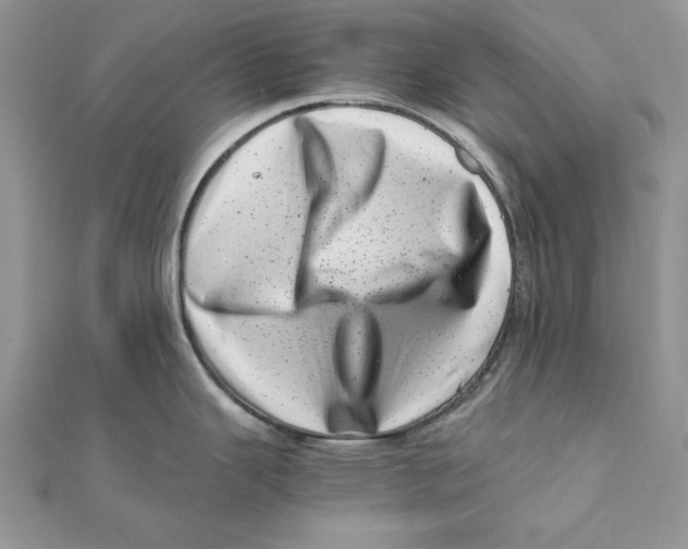 X0000111661343200908141305