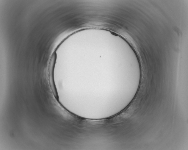 X0000111661344200908141305