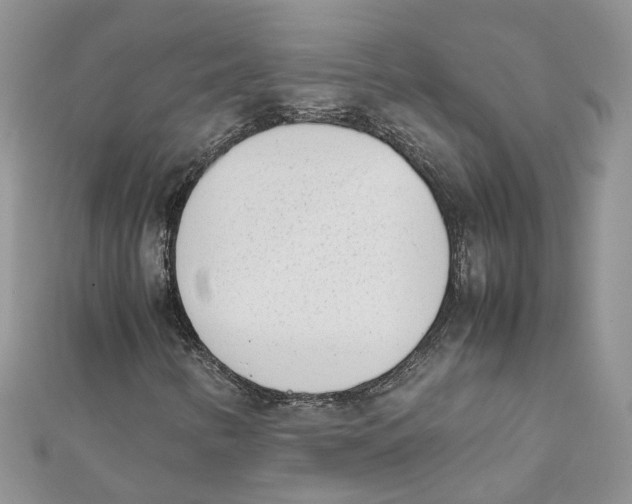 X0000111661346200908141305