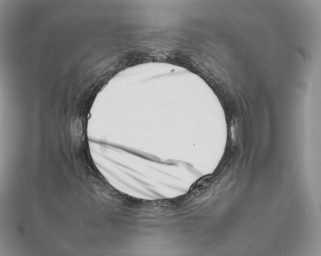 X0000111661347200908141305