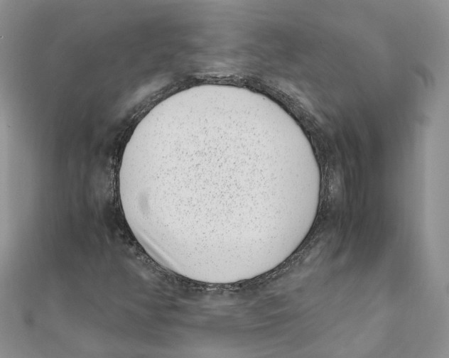 X0000111661350200908141305