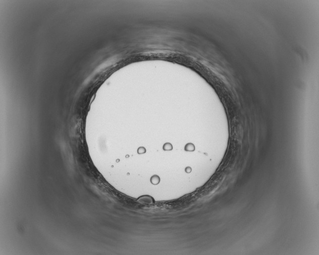 X0000111661351200908141305