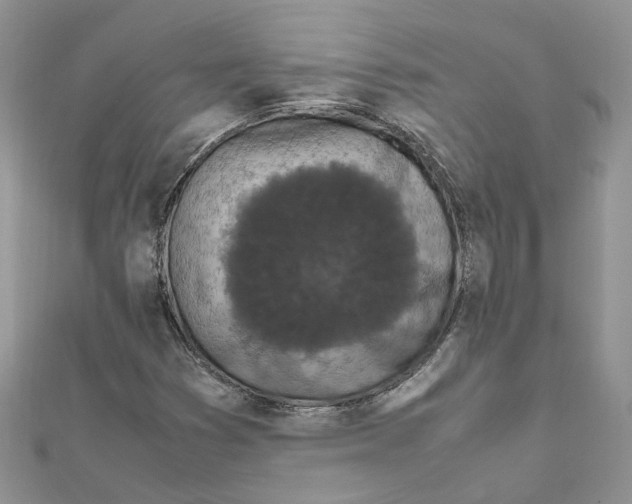 X0000111661353200908141305